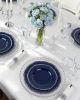 350pcs Blue Silver Plastic Plates - Silver Plastic Dinnerware Set Includes 50 Dinner Plates, 50 Dessert Dinnerware, 50 Cups